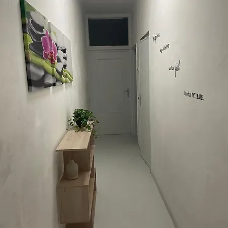 Fiore 巴里